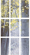 Clarion Colonial Grilles entry door glass from Clopay