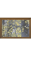 Clarion Clear entry door glass from Clopay
